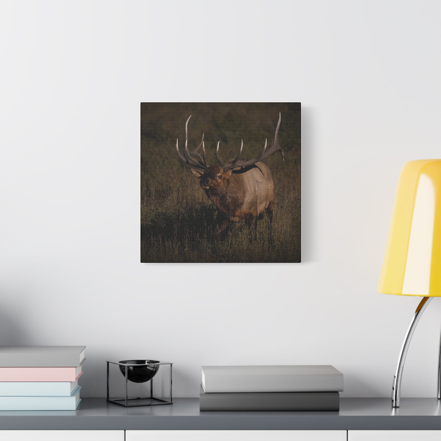LAID BACK BULL ELK STRETCHED CANVAS PRINT