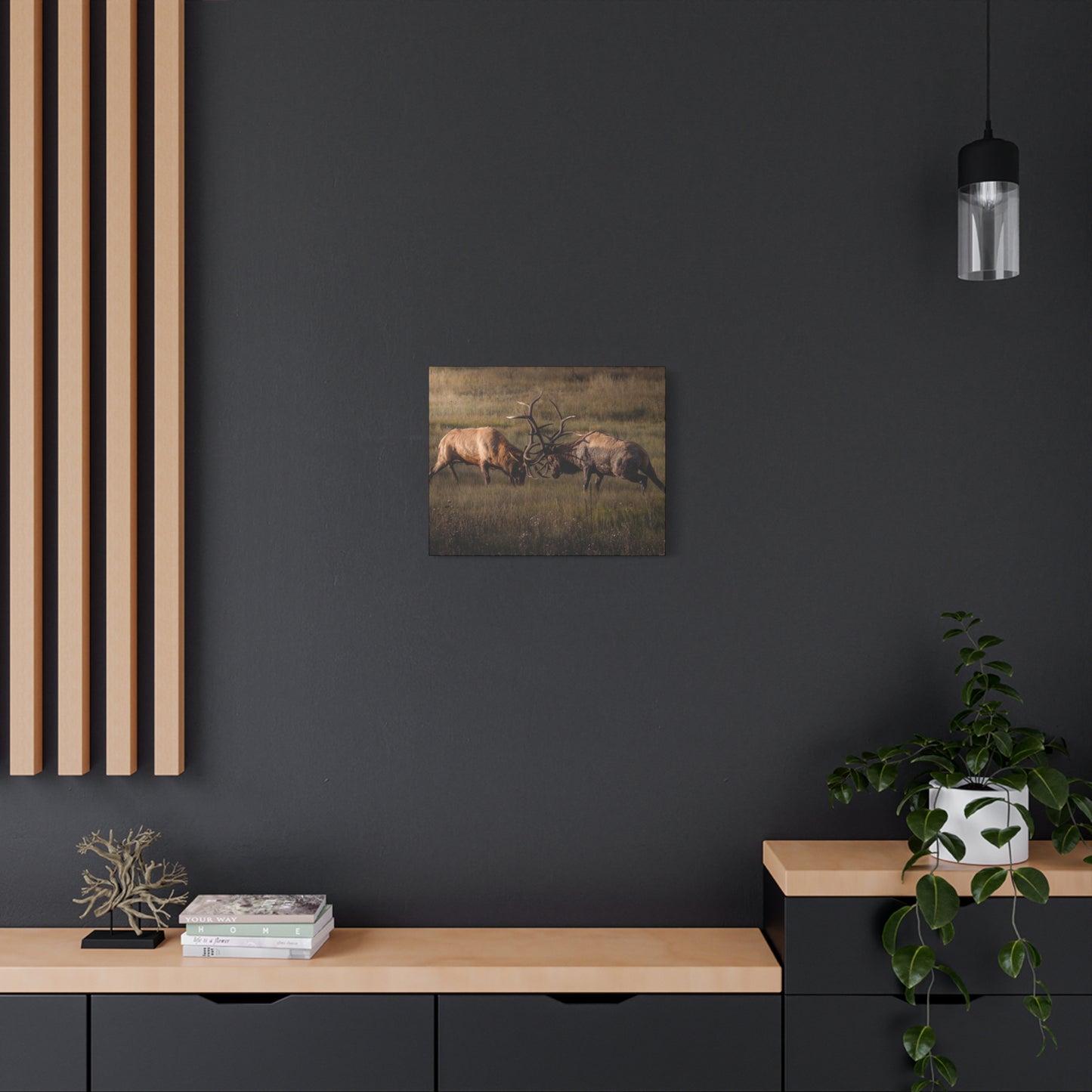 LOCKED IN LIGHT BULL ELK STRETCHED CANVAS PRINT
