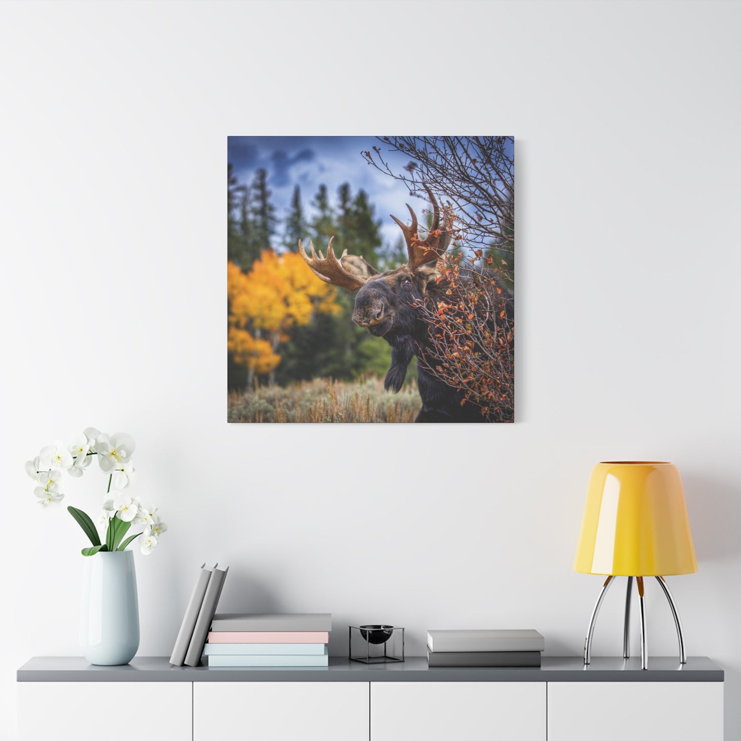 PEEKING BULL MOOSE STRETCHED CANVAS PRINT