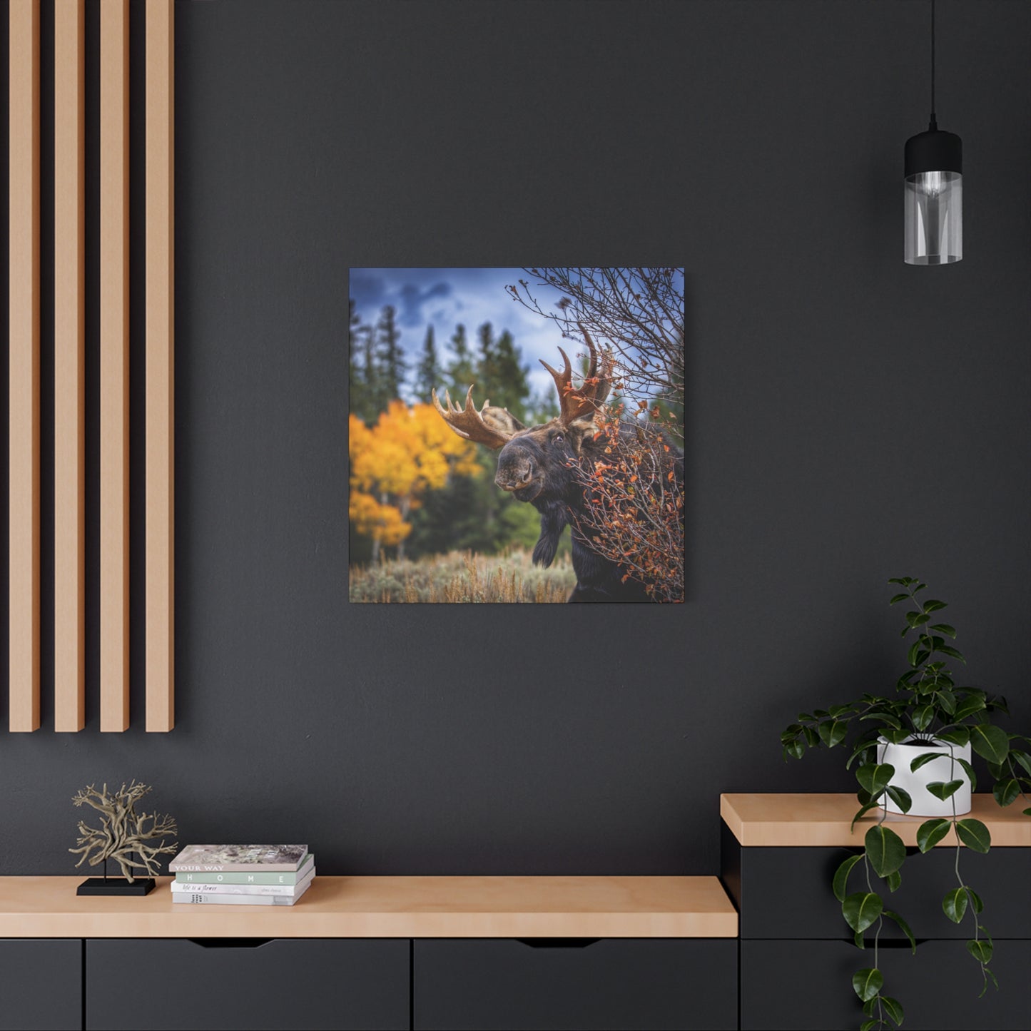 PEEKING BULL MOOSE STRETCHED CANVAS PRINT
