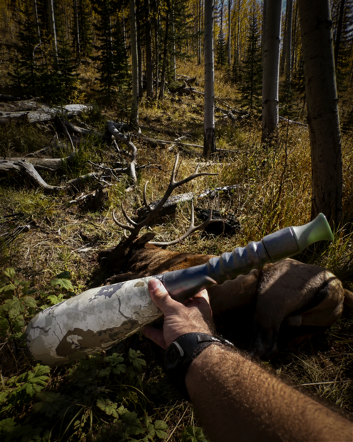 BACKBONE ELK BUGLE TUBE