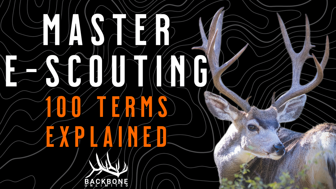 Backbone Unlimited Terrain and E-Scouting Glossary