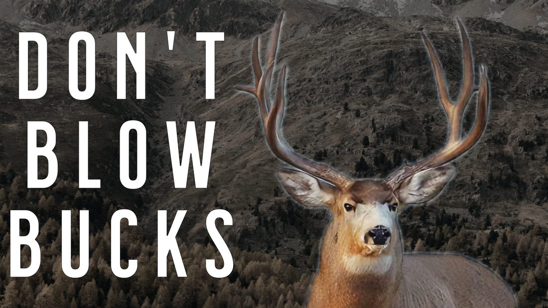 The Biggest Late-Season Mule Deer Hunting Mistakes (And How to Fix Them)