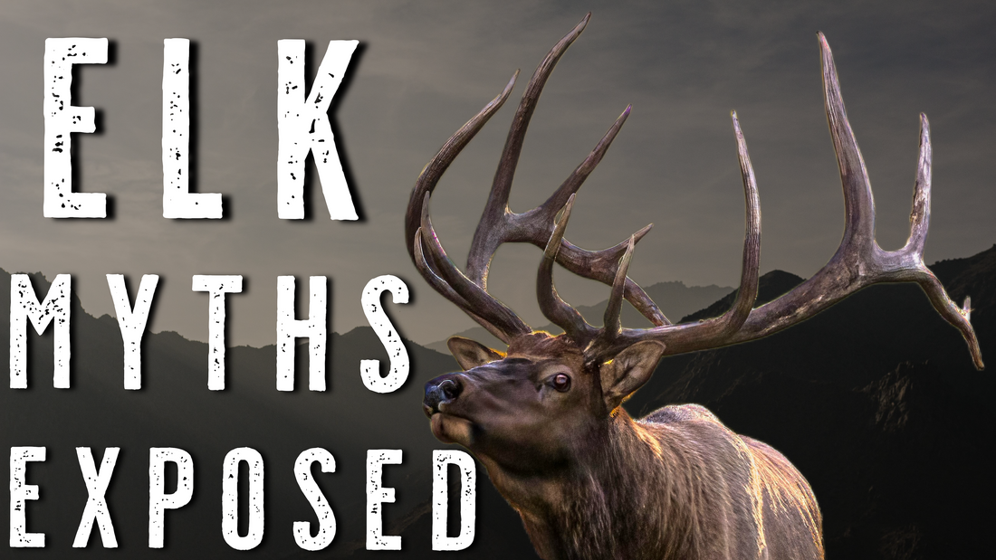 3 Elk Hunting Myths Holding you Back from Killing More Bulls on Public Land
