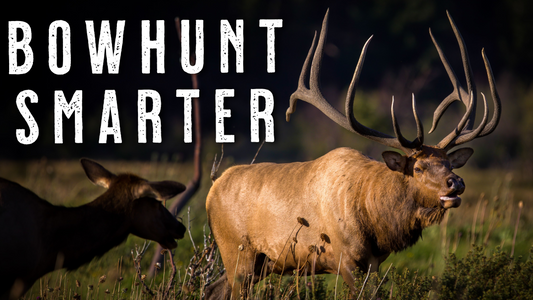 5 Archery Elk Hunting Tips I Wish I Knew Sooner | Change Your Bowhunting Season