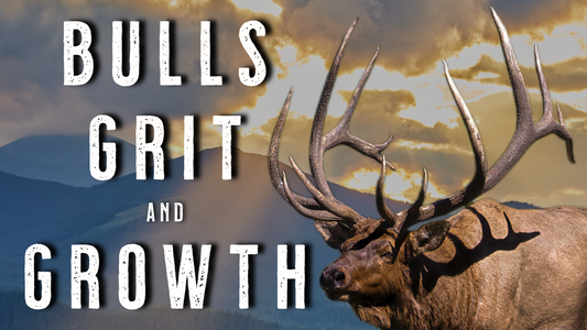 5 Elk Hunting Lessons That Changed My Life