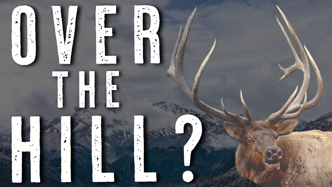 Backcountry Elk Hunting Tips for Guys Over 40 - Strategies for Older Hunters