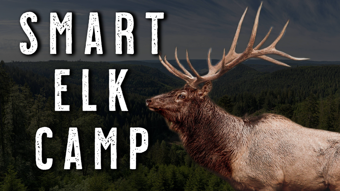 Best Elk Hunting Camp Locations | How to Choose the Right Spot for Success