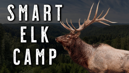 Best Elk Hunting Camp Locations | How to Choose the Right Spot for Success