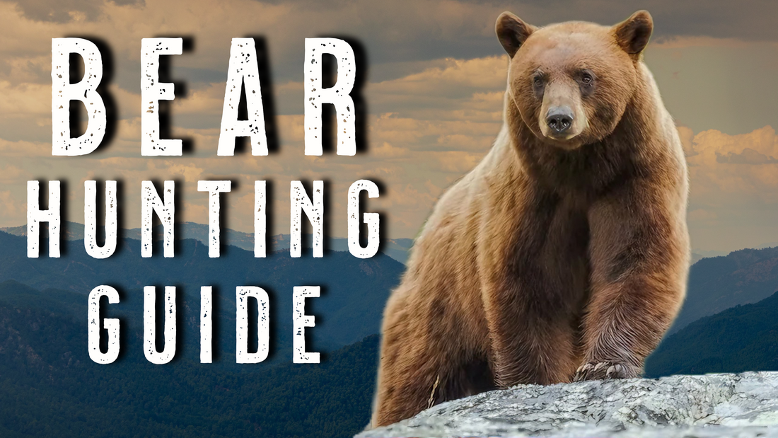Black Bear Hunting Tips and Tactics - Spot and Stalk Strategies (No Bait)