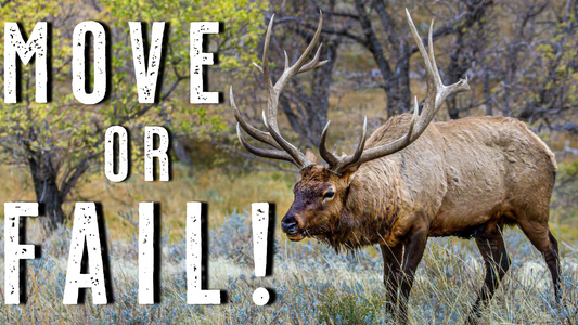 How to Change Elk Hunting Spots to Kill More Bulls on Public Land