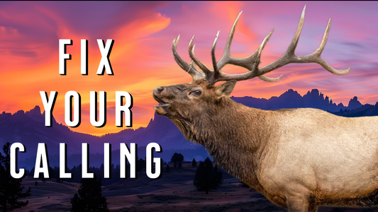 Elk Calling Mistakes You Can FIX Today