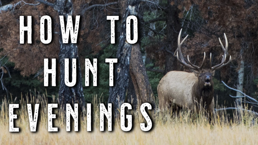 EVENING Elk Hunting TACTICS | Make Short Hunts Count