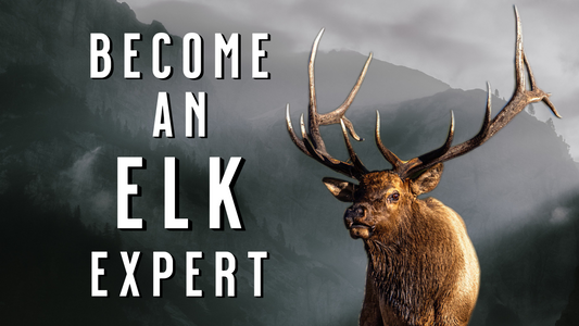 Elk Hunting: 101 ELK FACTS Every Western Hunter Must Know