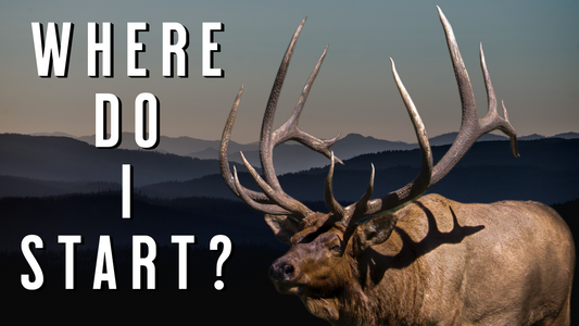 Elk Hunting: Where to Start (A Beginner’s Complete Guide)