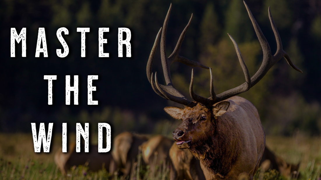 Elk Hunting Law: Wind & Thermals Rule the Mountain