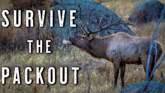 Elk Hunting PACKOUT Tips | How to Survive the Grind After the Kill