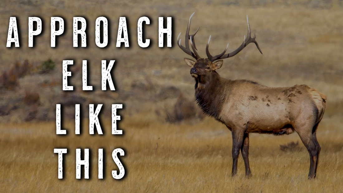 Elk Hunting Strategy for EARLY September | How to Approach Your Area LIKE A PREDATOR