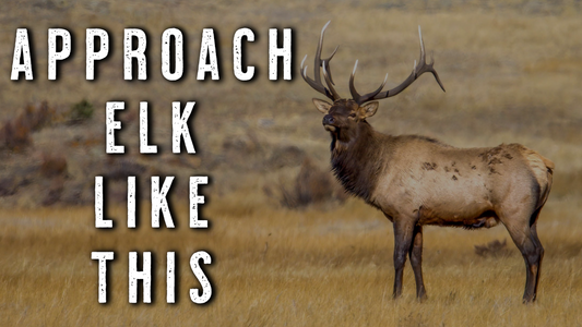 Elk Hunting Strategy for EARLY September | How to Approach Your Area LIKE A PREDATOR