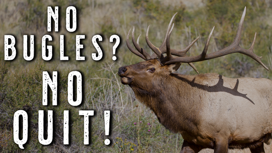 Elk Hunting When It’s Quiet | Mental Reset for Silent Days
