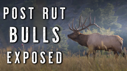 HOW TO GLASS POST RUT BULLS in Transition Zones | October Elk Hunting Tips