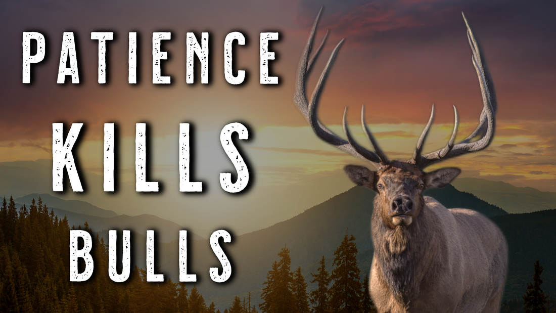 HOW TO HUNT SOLO BULLS After the Rut | Spot-and-Stalk Elk Hunting Tactics