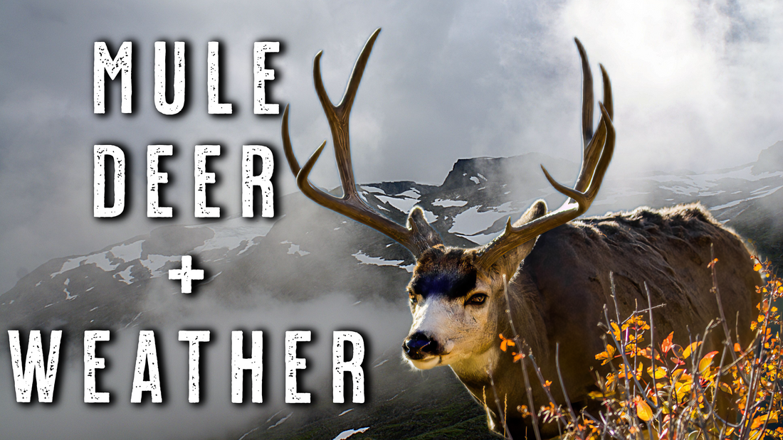 HOW WEATHER FRONTS MOVE MULE DEER | October Mule Deer Hunting Strategy That Works