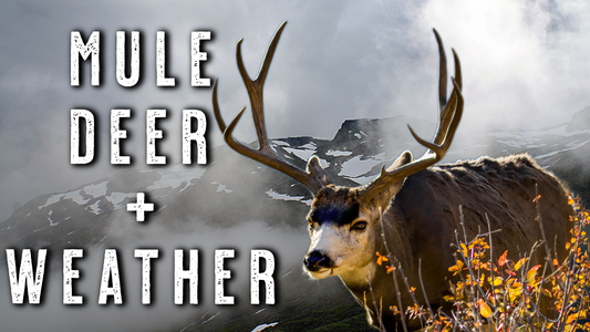 HOW WEATHER FRONTS MOVE MULE DEER | October Mule Deer Hunting Strategy That Works