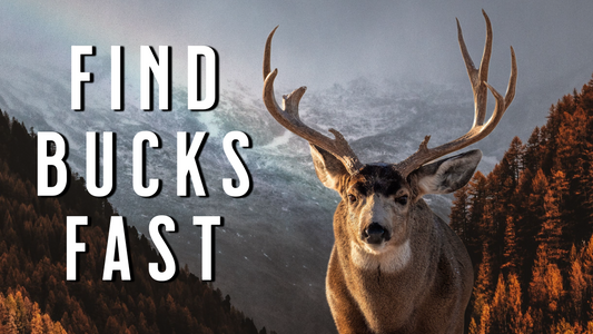 HUNT Rutting Mule Deer in NOVEMBER |Find Bucks Fast | Mule Deer Hunting Tips