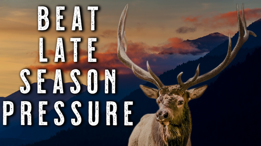 How Hunting Pressure Changes Elk Behavior | LATE SEASON Elk Hunting Tips