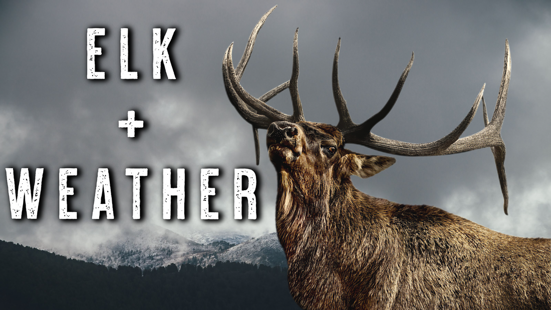 How Weather Fronts Move Elk | October Elk Hunting Strategy That Works