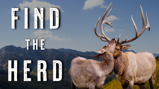 How to Find Cow Elk on Public Land - Elk Hunting Tips and Tactics