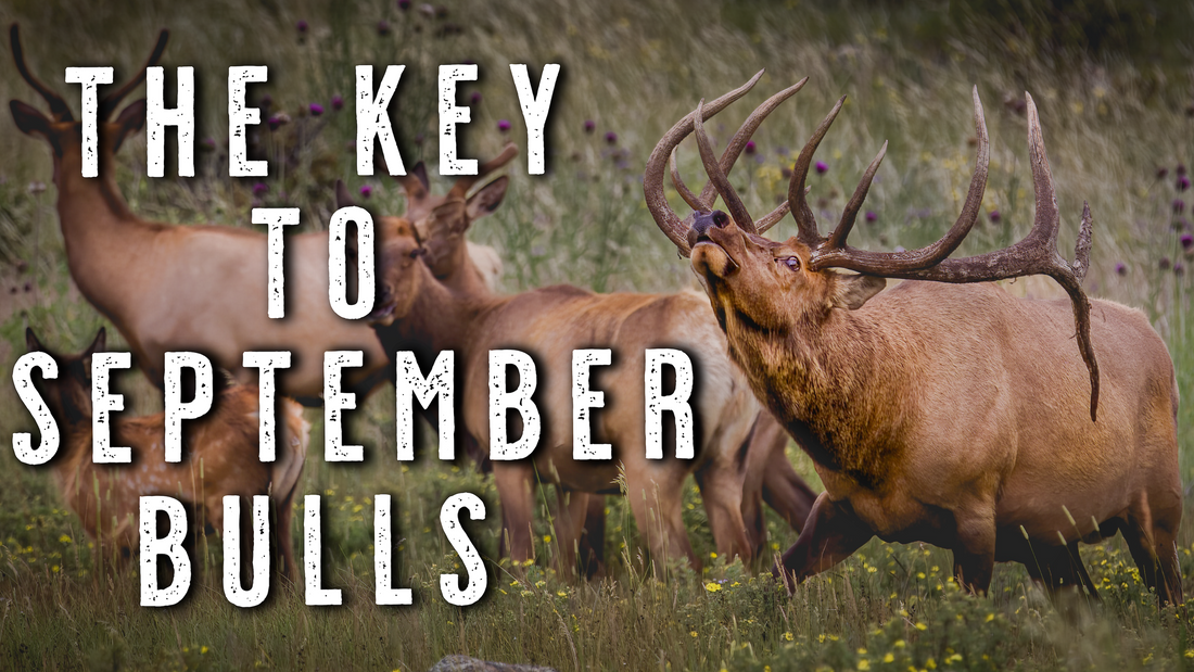 How to Find Rutting Bulls | Stop Chasing Bugles & Start Killing Elk
