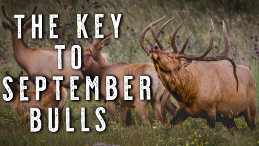 How to Find Rutting Bulls | Stop Chasing Bugles & Start Killing Elk
