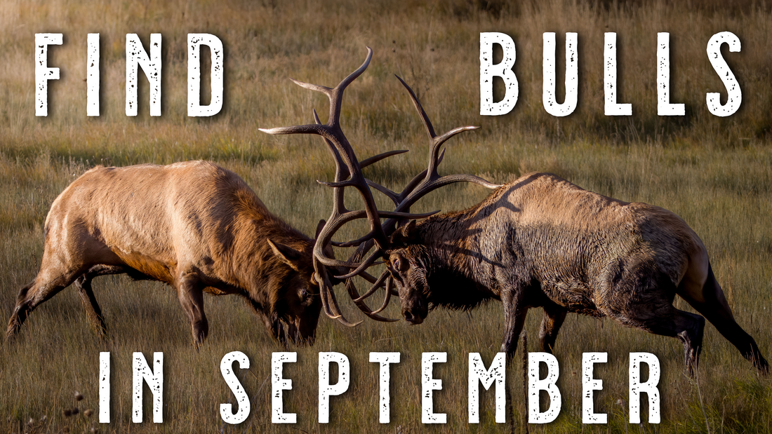 How to Find September Bulls - Elk Hunting Tips and Tactics