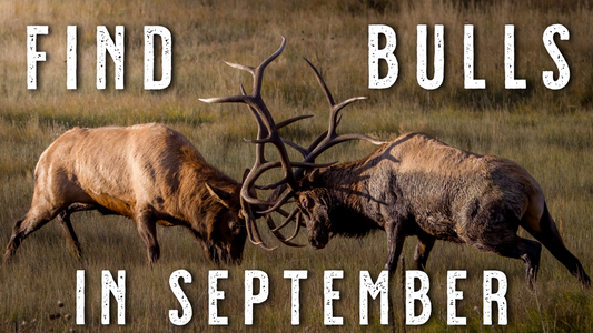How to Find September Bulls - Elk Hunting Tips and Tactics
