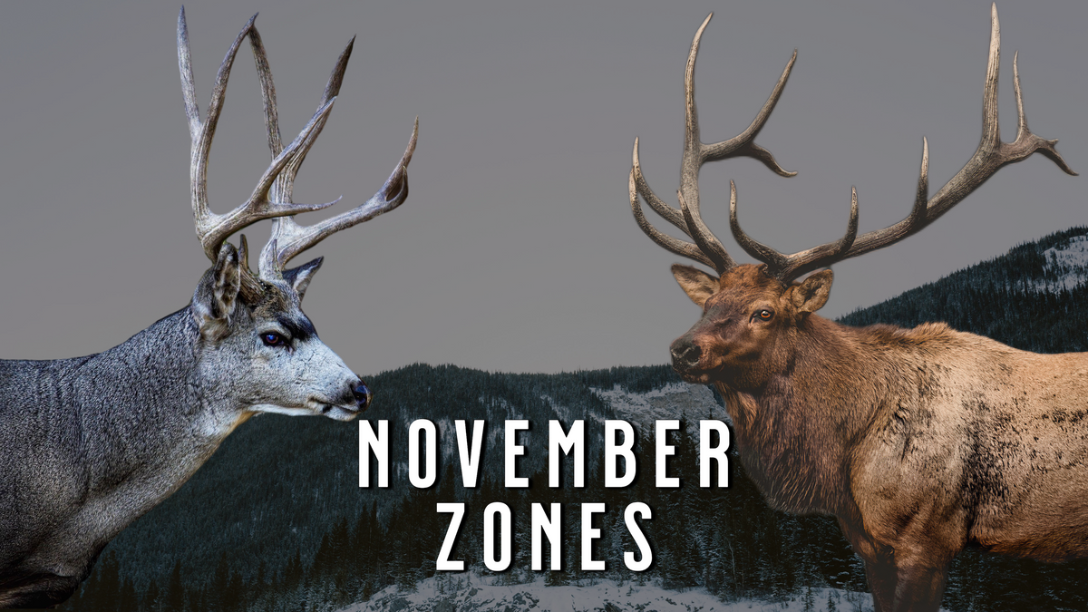 How to Find Transition Zones in November | Late Season Mule Deer and E ...