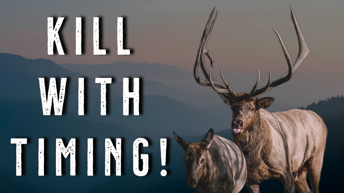 How to Hunt All 5 Phases of Elk Hunting Season (Early to Late)