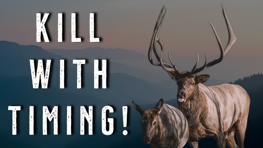 How to Hunt All 5 Phases of Elk Hunting Season (Early to Late)