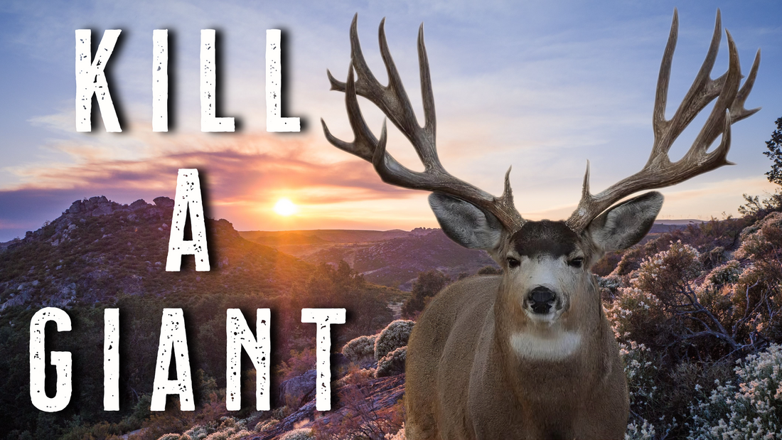 How to Hunt Big Mule Deer – Proven Tips to Kill Bigger Bucks