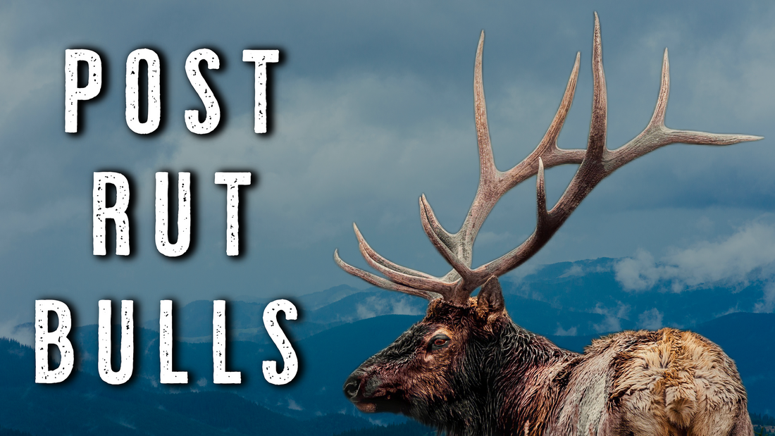 How to Hunt Bulls After the Rut | Post-Rut Elk Hunting Tips That Work