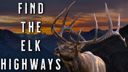 How to Hunt Elk Funnels | Stop Guessing Where Elk Go in October
