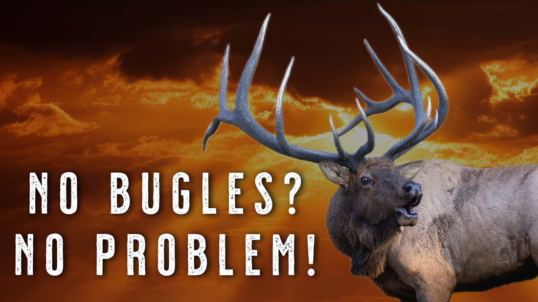 How to Hunt Elk Who Aren’t Bugling | Archery Elk Hunting Tactics