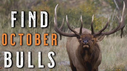 How to LOCATE SOLITARY BULLS After the Rut | October Elk Hunting Tips
