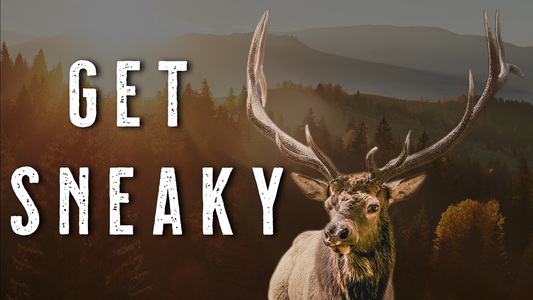 How to Still Hunt - Elk Hunting Tips for More Public Land Bulls in the Backcountry