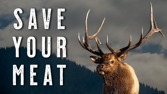 How to Take Care of Elk Meat in Hot Weather - Elk Hunting Meat Care Tips