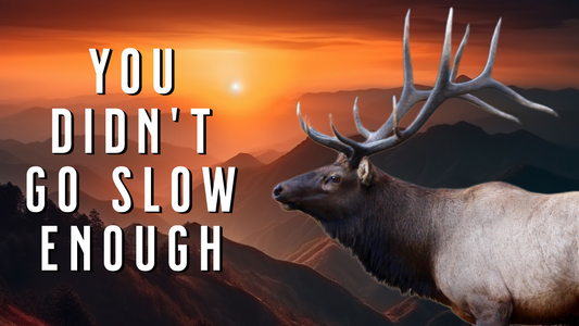 Hunting Too Fast | How Rushing Your Elk Hunt Blows Opportunities