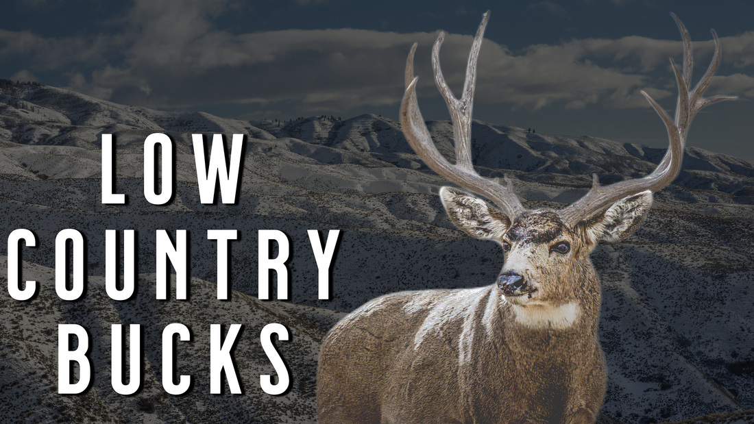 How to Hunt Low-Elevation Mule Deer When Winter Pushes Them Down