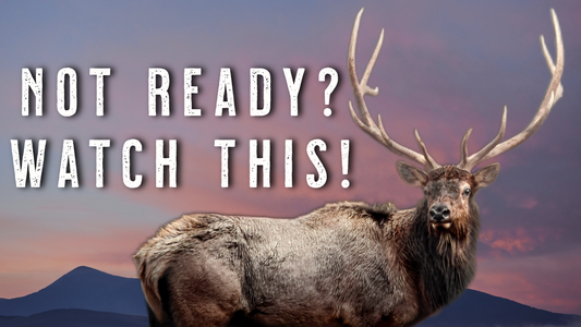 Last Minute Elk Hunting Tips for Unprepared Hunters