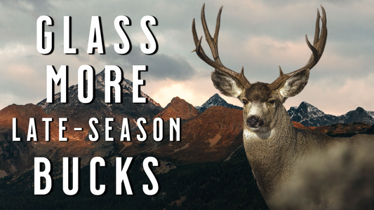How to Glass Mule Deer When Daylight Is Limited